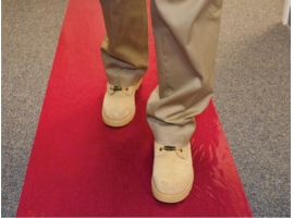 Shubee Surface Protection